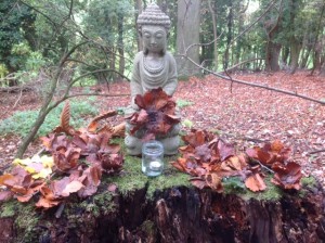 Forest School - Buddha with peace poppies