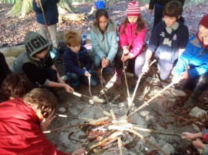 Forst School Fire sticks