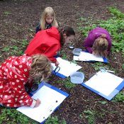 Dharma Curriculum exploration